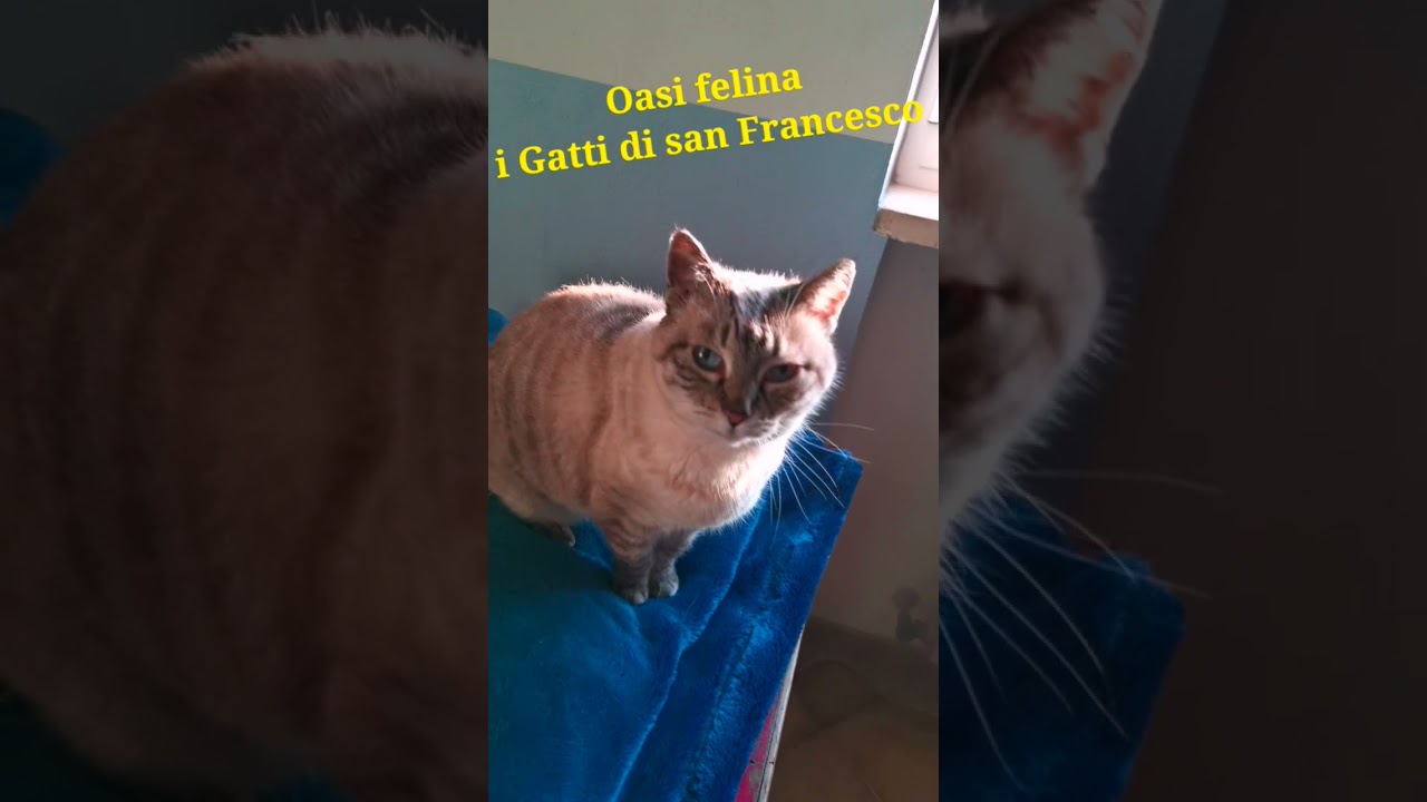 micetta Taitu ha 17 anni 