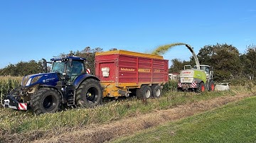 Maisoogst 2025 op 2 oktober 2025