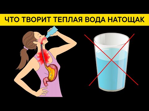 Многие Пьют Воду Натощак, Но Не Догадываются Что Теплая Вода Натощак Вызывает Необратимые Процессы