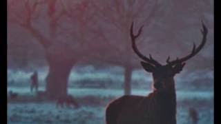 Miles Hankins - Lost Memory - Музыка без АП #1