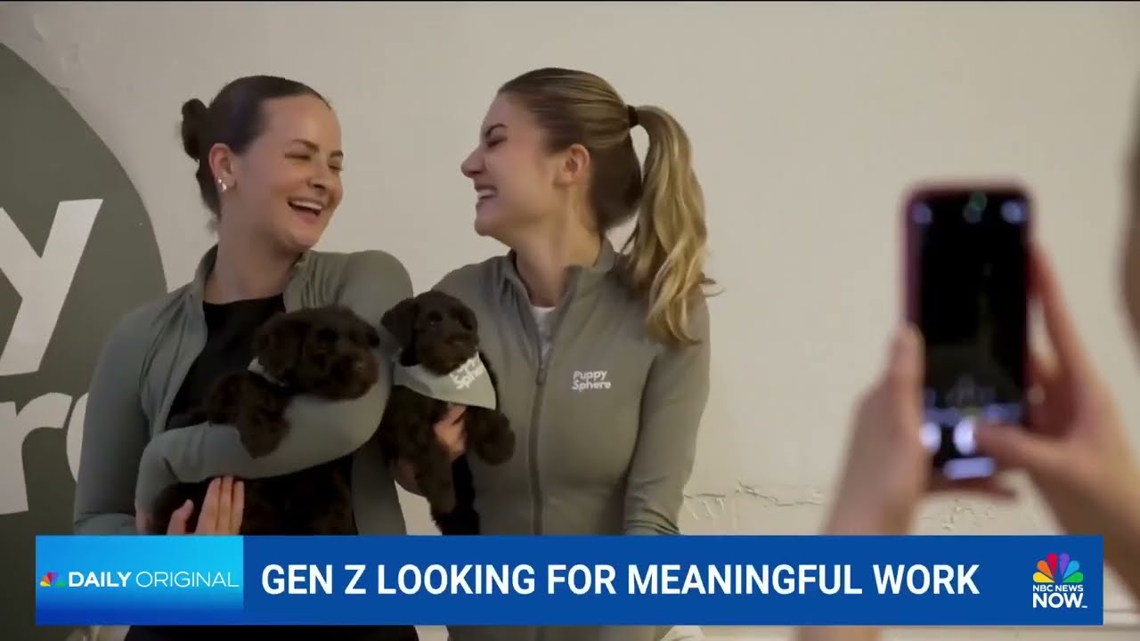 Puppy Sphere co-founders talking about founding the company