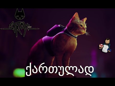 ფისუნია კატა Cyberpunk იდან STRAY PS5 ნაწილი 1