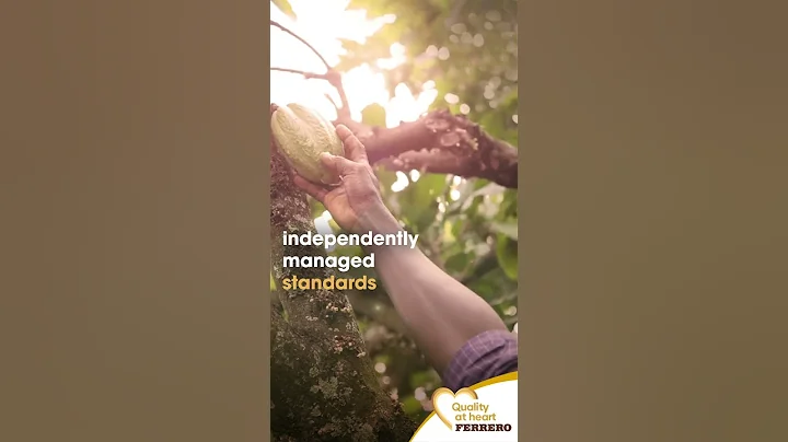 Our approach to responsibly sourcing cocoa | Quality at heart