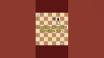 Day 1 of learning Checkmate Patterns: Hook Mate!
