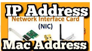 what is the difference between IP Address and MAC Address