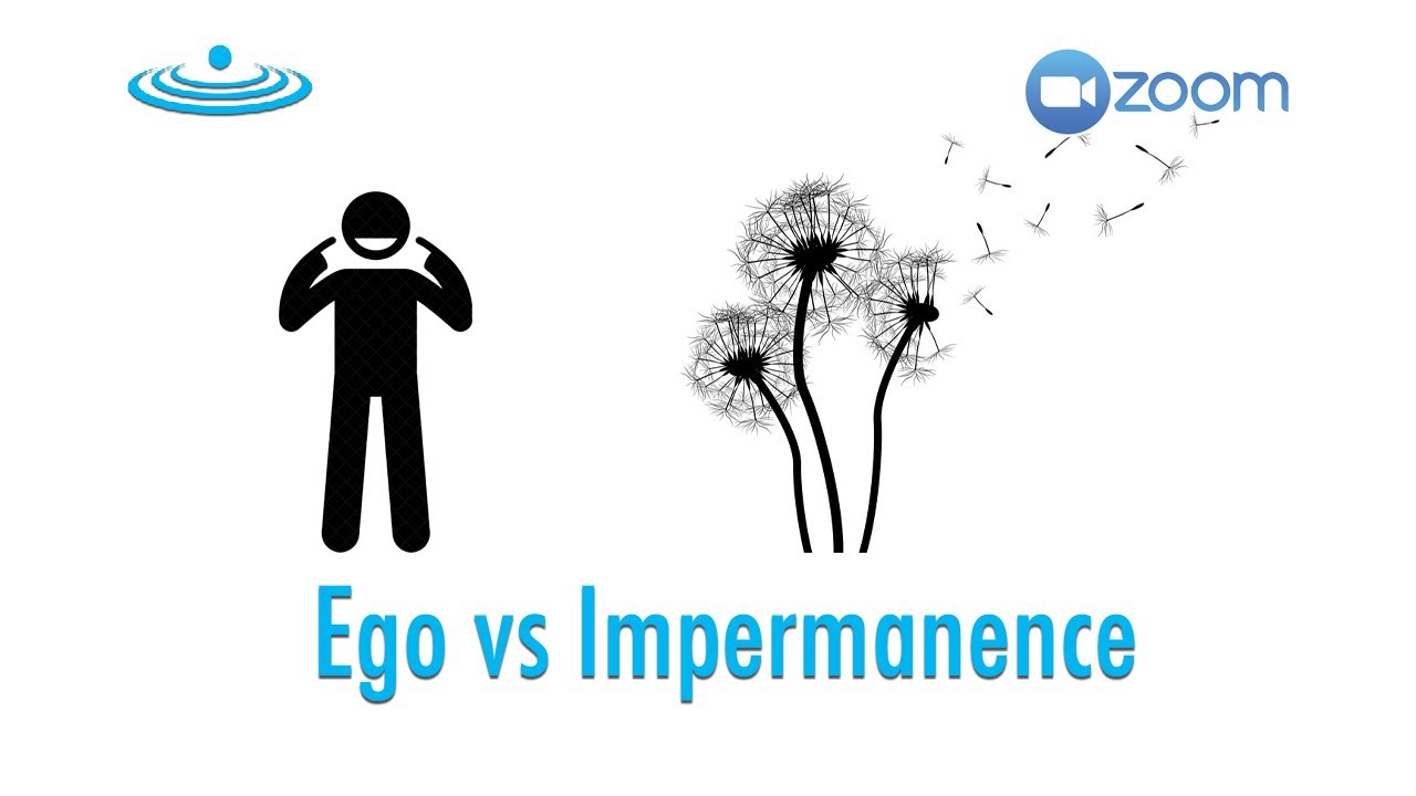 Ego vs Impermanence | Weekly Wisdom Pool | Week 1