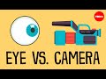العين مقابل الكاميرا ميشيل ماوزر 