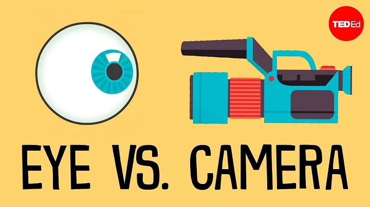 Eye vs. camera - Michael Mauser - DayDayNews