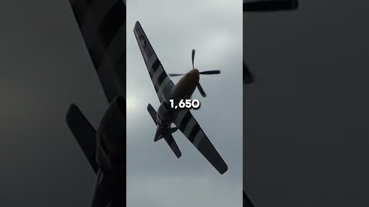 THE BEST WW2 PLANE EVER BUILD!
