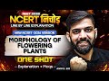 NCERT निचोड़ Morphology of Flowering Plants | NCERT Biology Line by Line Explanation for NEET 2026