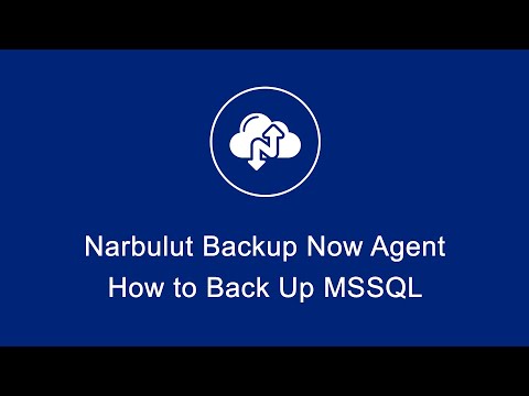 How to Back Up MSSQL with Narbulut Backup Now Agent