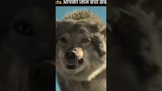 यह Facts आपकी जान बचा सकते हैं 😰 | Facts That Can Save Your Life | The Fact | #shorts #ytshorts