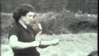 Lejos de los árboles (Jacinto Esteva,1963-1971): mujeres que trabajan