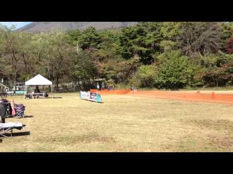 杏の走り！ in The N.P.A. 2012 JapanCup