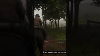 ‌optimal red dead gameplay