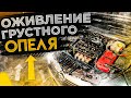 ОЖИВЛЕНИЕ УСТАВШЕГО МУТНОГО ОПЕЛЯ С Z18XER. ГЛОХНЕТ НА ХОЛОДНУЮ И ТРОИТ. ДИАГНОСТИКА, ПРОВЕРКА МЕТОК