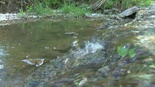 Grants won for bridge, low water crossing work in rural Ralls County