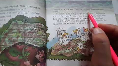 Umit 2 Chapter 2 Flying Together Class 5 English Explanation by Renu Rathi