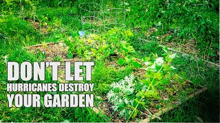 PROTECT Your Garden From a HURRICANE