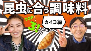 内山昭一、井上咲楽が選ぶ昆虫が美味しくなる調味料TOP3！（蚕さなぎ編🦋