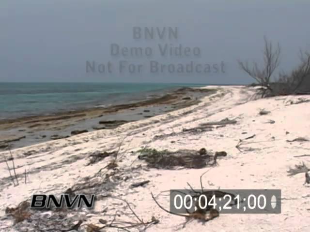 6/27/2007 Loggerhead Key Florida, Desert Island Beach Video.