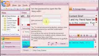 Brief Introduction of Portable Efficient Diary Free