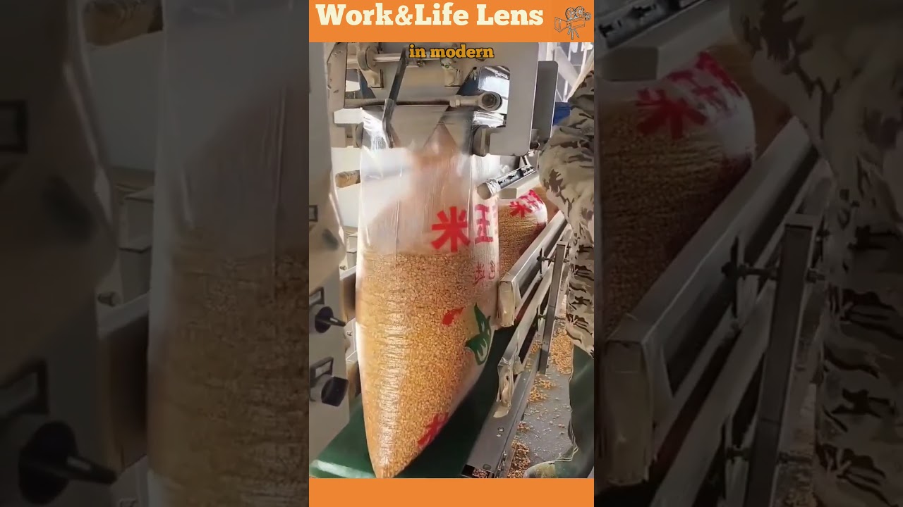 A worker fills sacks with corn in a modern facility, ensuring accuracy as machines move them along.