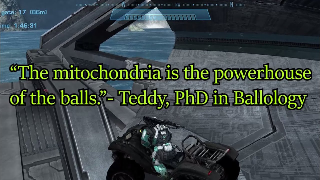 Joe Mongoose Rat POV