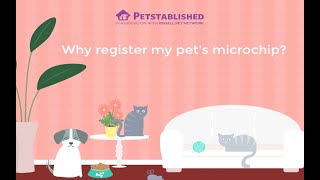 Registering My Adopted Pet's Microchip