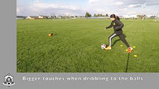 PIP Activity # 21 - Tight Dribbling and 1v1 Moves