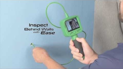 Thane Lizard Cam - Green