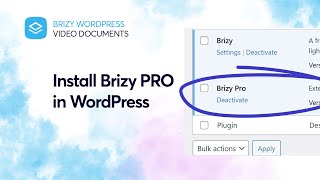 How to Install Brizy PRO in WordPress | Brizy Video Documentation