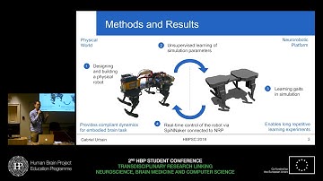 Urbain Gabriel - Design of a Bio-inspired Compliant Quadruped Robot (...)