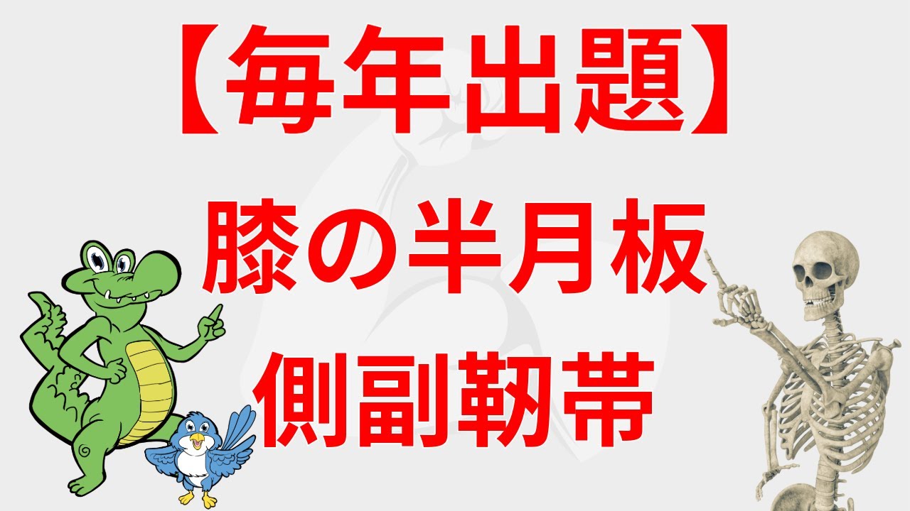【毎年出題】膝の半月板・側副靭帯｜起始停止マスターチャンネル（鰐部ゼミナール・理学療法士作業療法士国家試験塾）
