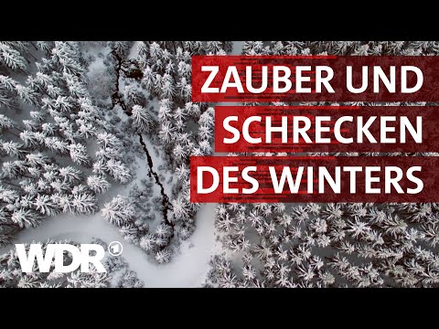 Video: Winter in Deutschland: Wetter, was man einpacken und was man sehen sollte