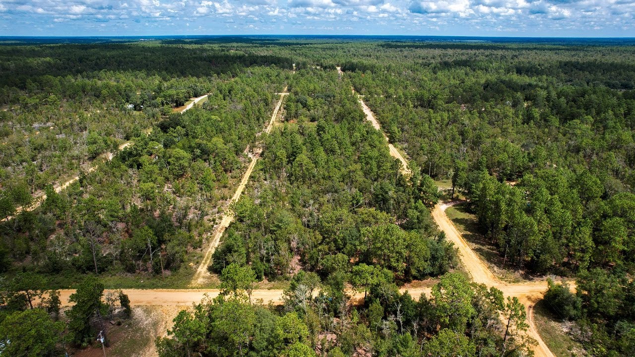 SOLD!!! 0.2 acres of vacant land for sale in Interlachen, FLPutnam