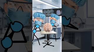 Gehirn kurz vor dem Tod 🧠