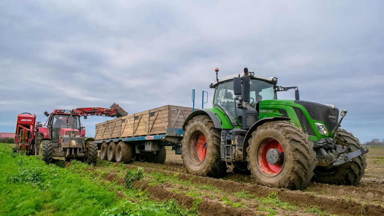 Je vous emmènes sur un chantier d'arrachage de carottes!! 🥕 FENDT 939 VARIO 🥕