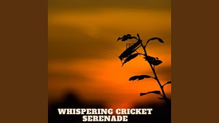 Celestial Cricket Serenade: Nighttime Harmony