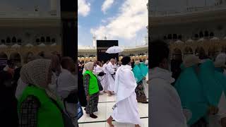 wa basta hai umeed Meri  |Naat | #naat #islamicshorts #makkamadina #trending