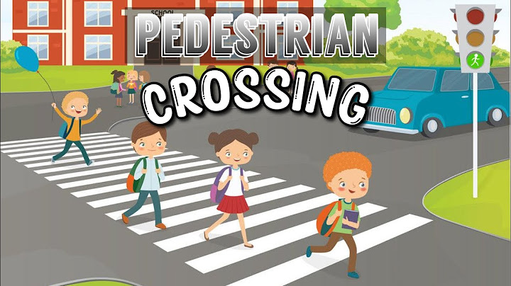 Pedestrian Crossing (including Zebra Crossing, Puffin, Pelican and Toucan)