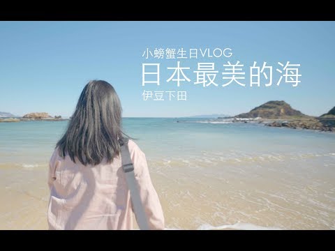 小螃蟹生日VLOG 带她去看东京附近最美的的海！