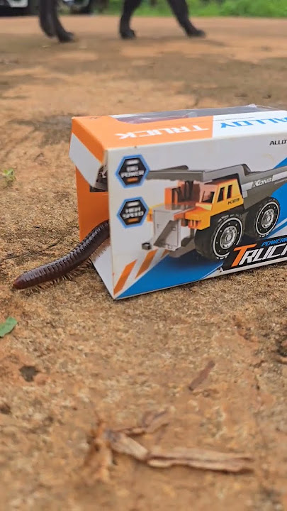 Enter RC truck box directly #millipede #insects #shorts #viral
