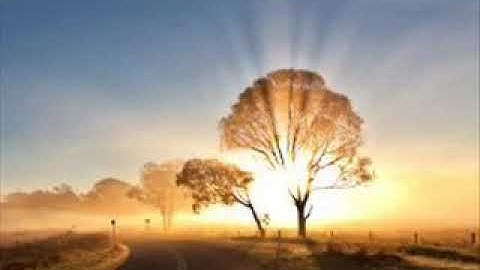 سورة الزمر القارئ محمد أيوب