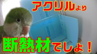 断熱材でインコの為の保温ケースを作る！　手軽に作れてコスパ最高です！　前編