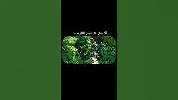 #سورة_الكهف#ماهر_المعيقلي #اكسبلور #راحة_نفسية #المصحف #صلوا_على_النبي#لايك  🥝