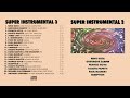 Super Instrumental 3 Nino Rita Francis Goya Fausto Papetti Paul Mauriat Gheorghe Zamfir Super Instrumental 3 Nino Rita Francis Goya Fausto Papetti Paul Mauriat Gheorghe Zamfir