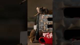 Božična mišelovka | Družinski film | v kinu od 6. novembra