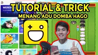 TUTORIAL/CARA/TRICK MENANG MAIN ADU DOMBA HAGO