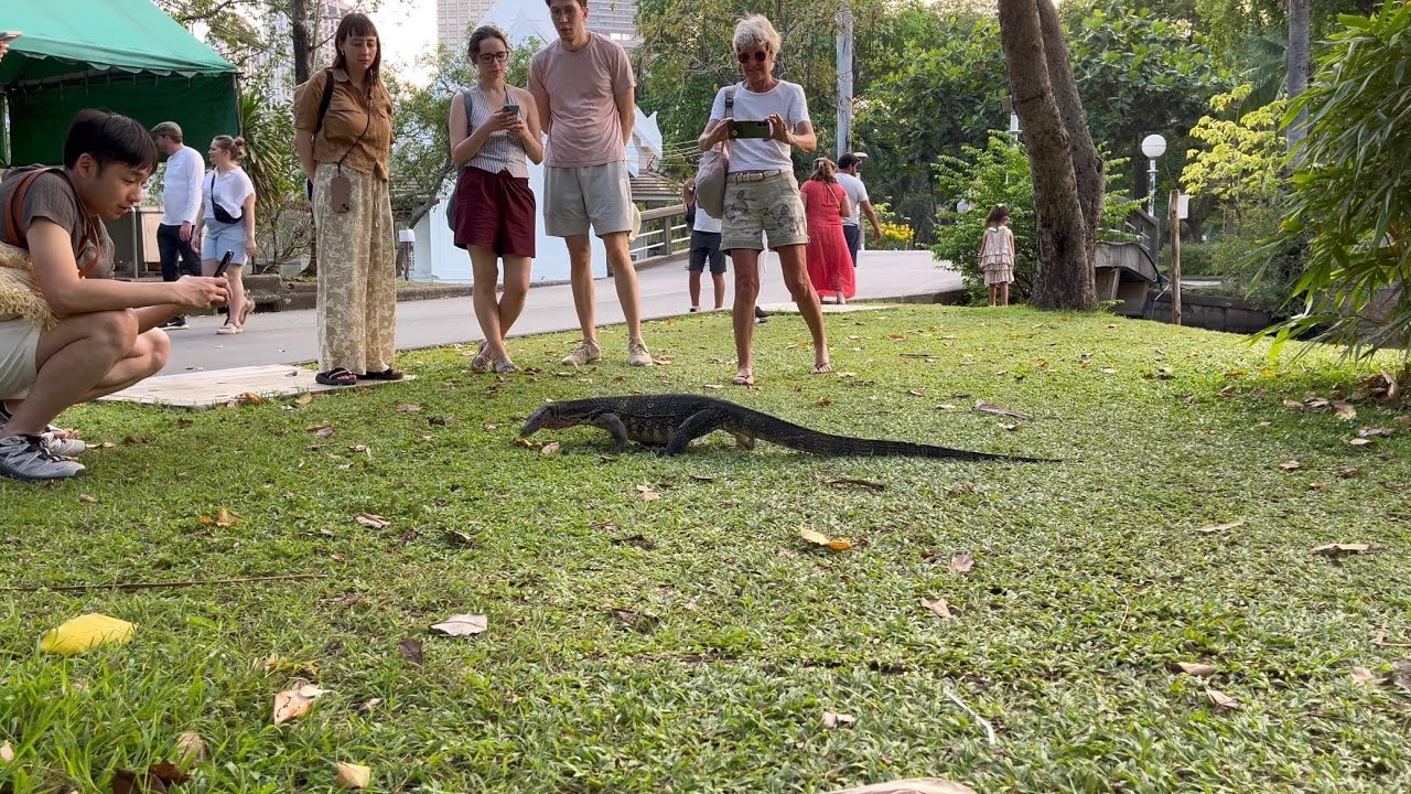 Lumphini Park Bangkok สวนลุมพินี 2026